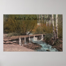 Puente de Roberto E. Lee Natural Poster