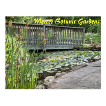 Puente en el jardín en peligro de la especie postales