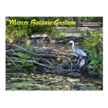 Puente en el jardín en peligro de la especie tarjetas postales
