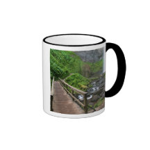 Puente en las caídas de Latourell, garganta del rí Taza De Café