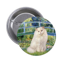 Puente - gato persa blanco pins