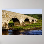 Puente viejo en el río Suir en Irlanda Posters