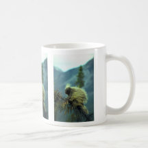Puerco espín en un árbol spruce, NWT, Canadá Taza