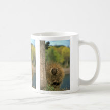 Puerco espín taza de café