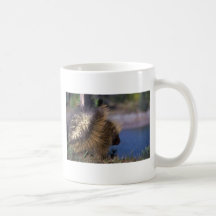 Puerco espín tazas de café