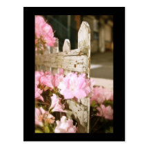 Puerta floral postales