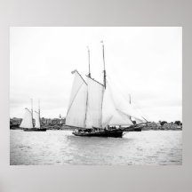Puerto de Marblehead Posters