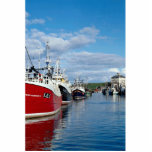 Puerto ocupado, Eyemoutn, Berwickshire, Escocia Esculturas Fotográficas
