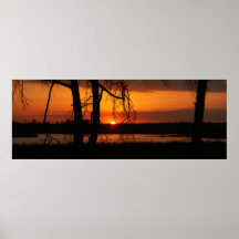 Puesta del sol a través de los árboles poster