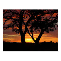 Puesta del sol anaranjada tarjeta postal