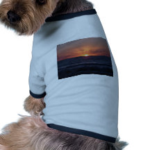 Puesta del sol camiseta de mascota