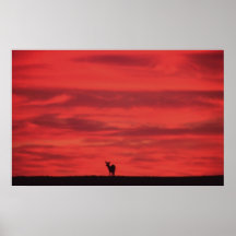 Puesta del sol con los ciervos - poster
