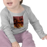 Puesta del sol contra un Cottonwood Camisetas