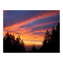 Puesta del sol costera posters