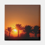 Puesta del sol de Arizona Imán