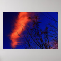 Puesta del sol de Arizona Posters