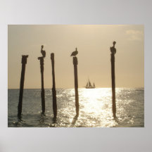 Puesta del sol de Aruba Impresiones