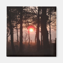 Puesta del sol de febrero imán de frigorífico
