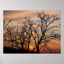 Puesta del sol de Kansas Poster