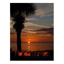 Puesta del sol de la Florida Tarjetas Postales