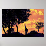 puesta del sol de la jirafa posters