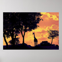 puesta del sol de la jirafa posters