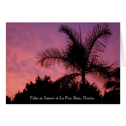 Puesta del sol de la palma tarjeton