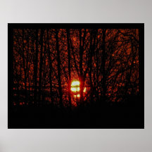 Puesta del sol de noviembre a través de árboles poster