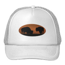 Puesta del sol del bisonte gorro de camionero