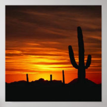 puesta del sol del cactus posters