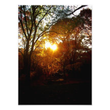 Puesta del sol del otoño arte fotografico