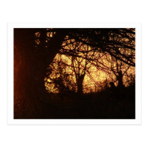puesta del sol del país postales