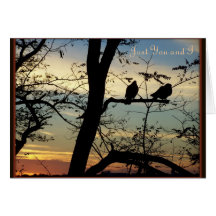 Puesta del sol del pájaro del amor tarjetas