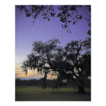 Puesta del sol del parque de Audubon Fotografia