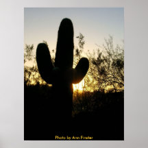 Puesta del sol del poster/del Saguaro