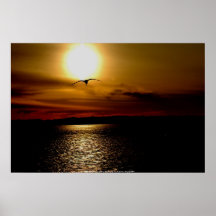 Puesta del sol del poster en la reserva de Salisbu