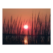 Puesta del sol del puerto fotos