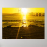 puesta del sol del ranúnculo posters
