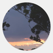 Puesta del sol del sur de la Florida Pegatinas