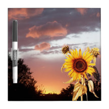 PUESTA DEL SOL DEL VERANO