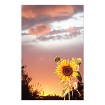 PUESTA DEL SOL DEL VERANO PAPELERIA DE DISEÑO