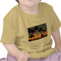 Puesta del sol hawaiana camisetas