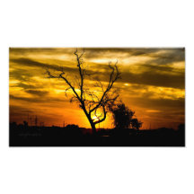 Puesta del sol impresiones fotográficas