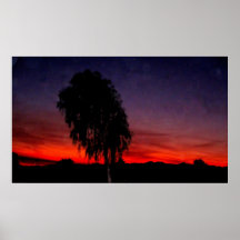Puesta del sol llameante en Arizona Posters