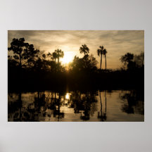 Puesta del sol "río muerto " de la bahía de Ochloc Poster