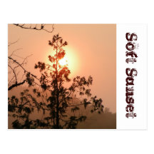 Puesta del sol suave tarjeta postal