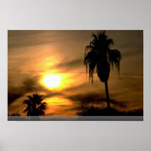 Puesta del sol subtropical poster