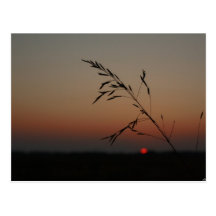Puesta del sol tarjeta postal