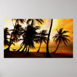 Puesta del sol tropical impresiones