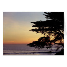 Puesta del sol y árbol, Santa Cruz (tarjeta)